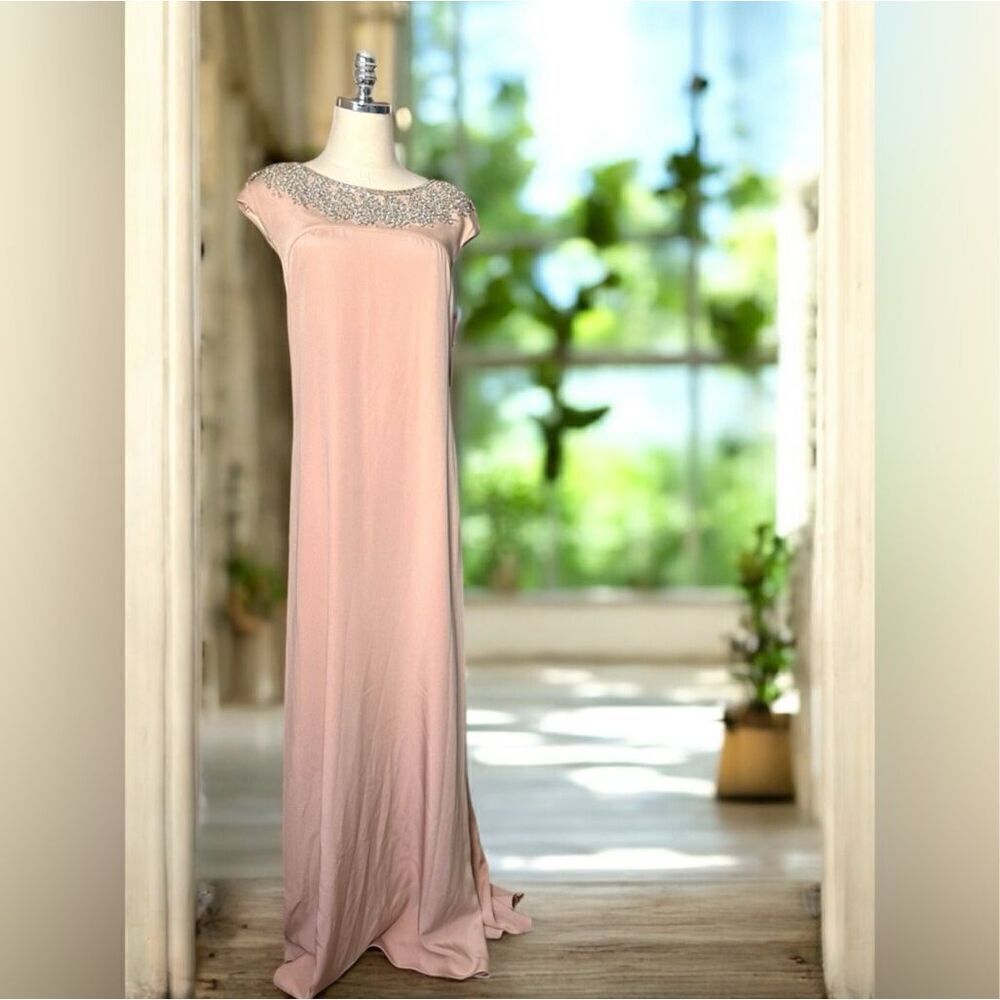 Theia Embellished Blush Gown Cap Sleeve Formal Dress - Picture 2 of 16